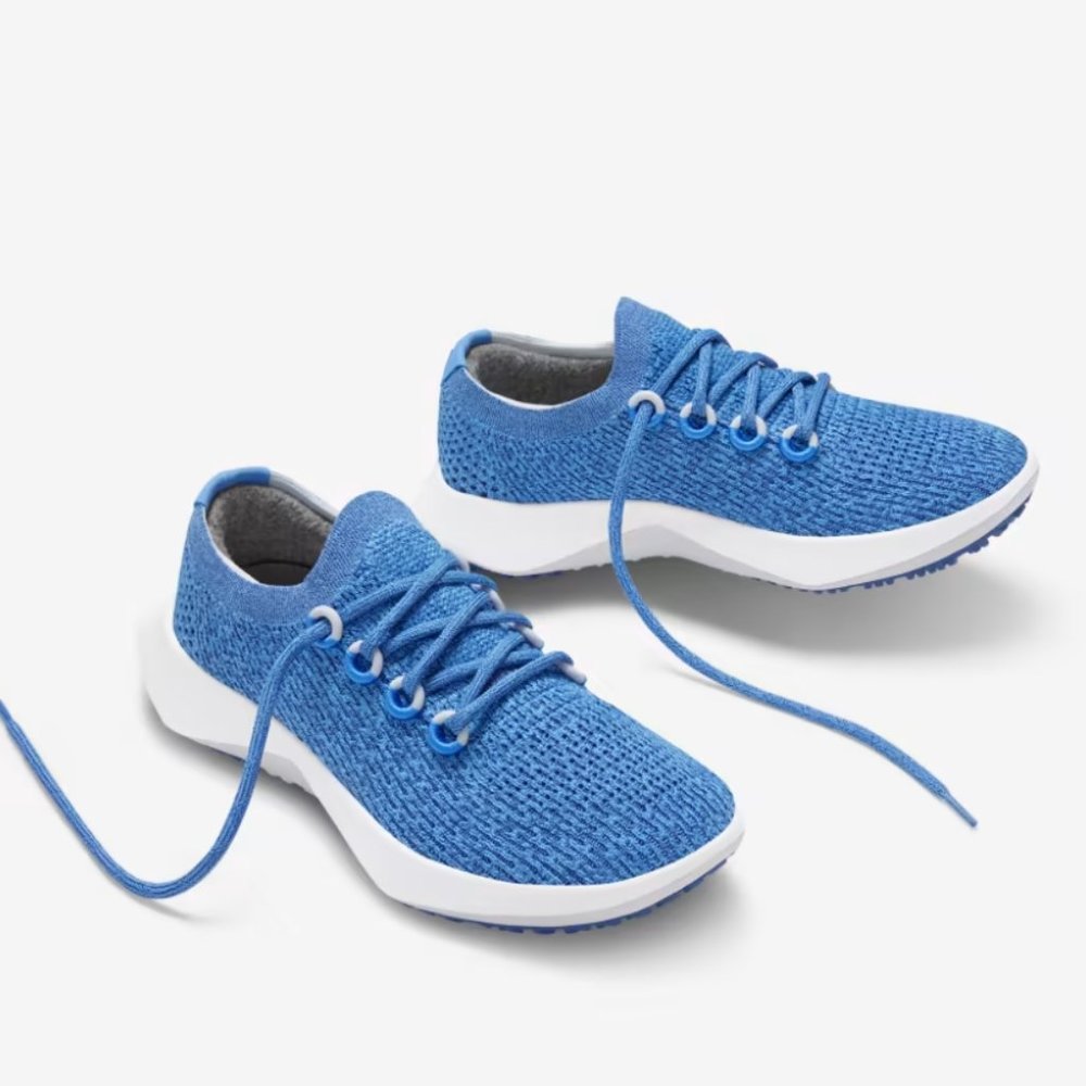 NWOT | Allbirds running shoes | Women's Tree Dasher 2 | Size 9 | Blue